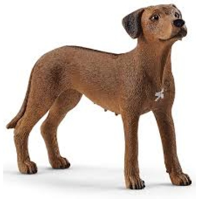 Schleich Pas,Rodezijski Ridzbek 13895 Schleich Pas,Rodezijski Ridzbek 13895