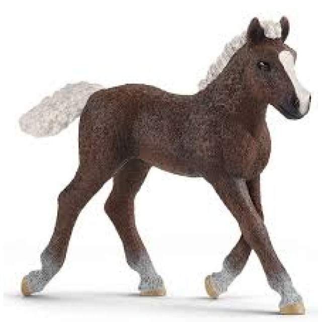 Schleich Zdrebe Black Forest 13899