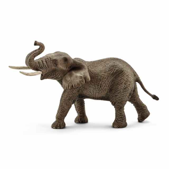 Schleich Africki Slon Muzjak 14762