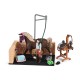 SCHLEICH MESTO ZA KUPANJE KONJA EMILY & LUNA 42438 Schleich Mesto Za Kupanje Konja Emily & Luna 42438