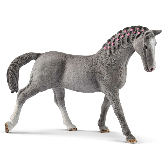 Trakehner Kobila