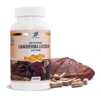 GANODERMA LUCIDUM KAPUSLE 60X350MG