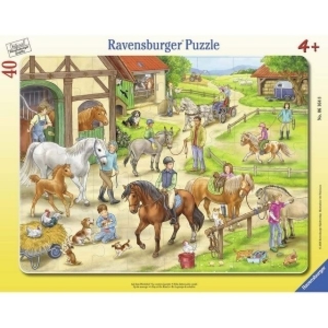 Ravensburger Puzzle Dan Na Rancu 06164