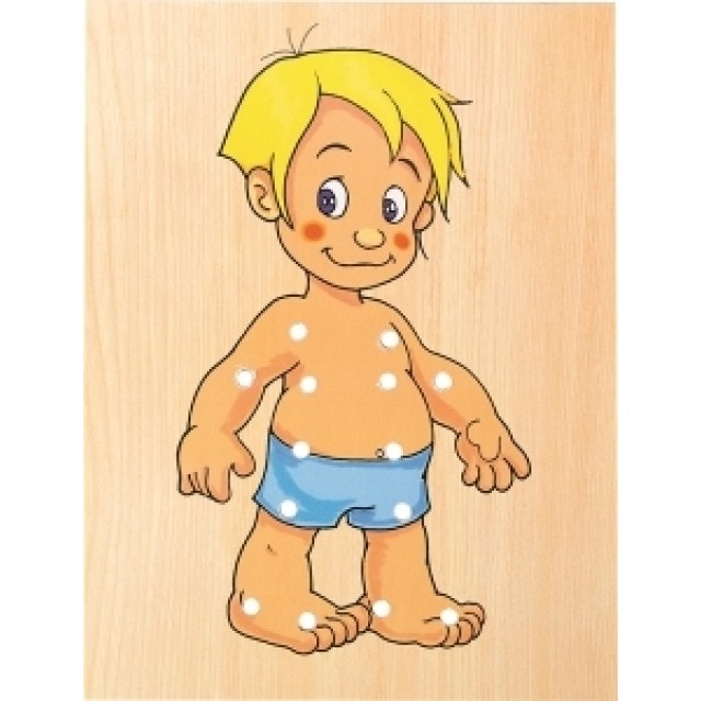 Woody Pertlajuci Decak 90018