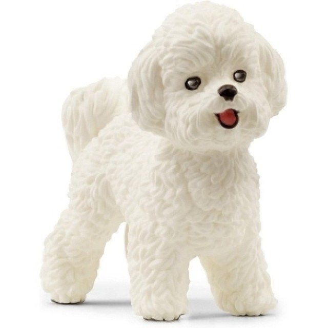 Schleich Bishon Frize 13963 Schleich Bishon Frize 13963