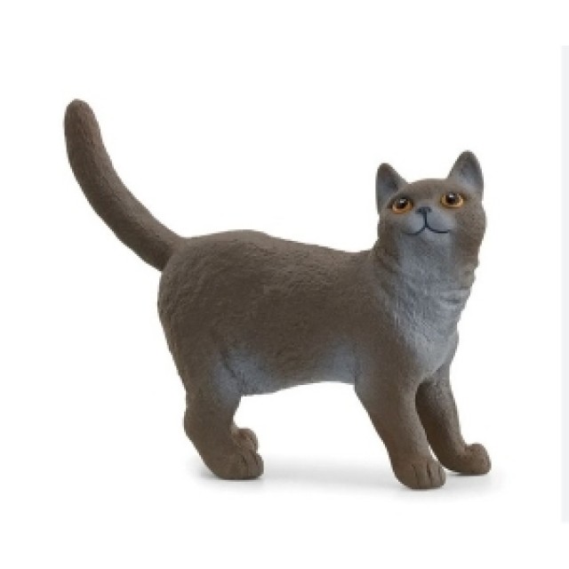 Schleich Britanska Macka 13973