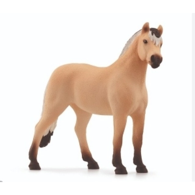 Schleich Norwegian Fjord Pastuv 13979