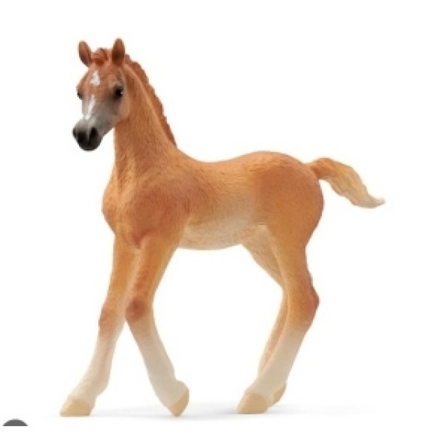 Schleich Arabian Zdrebe 13984