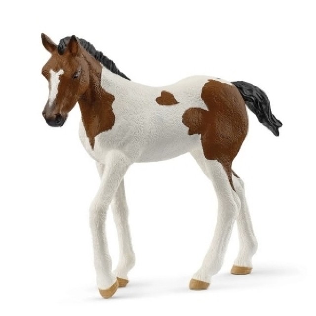 Sch Paint Konj Zdrebe 14899 Sch Paint Konj Zdrebe 14899