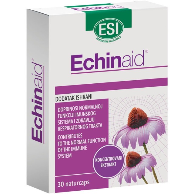 Esi Echinaid Kapsule A30